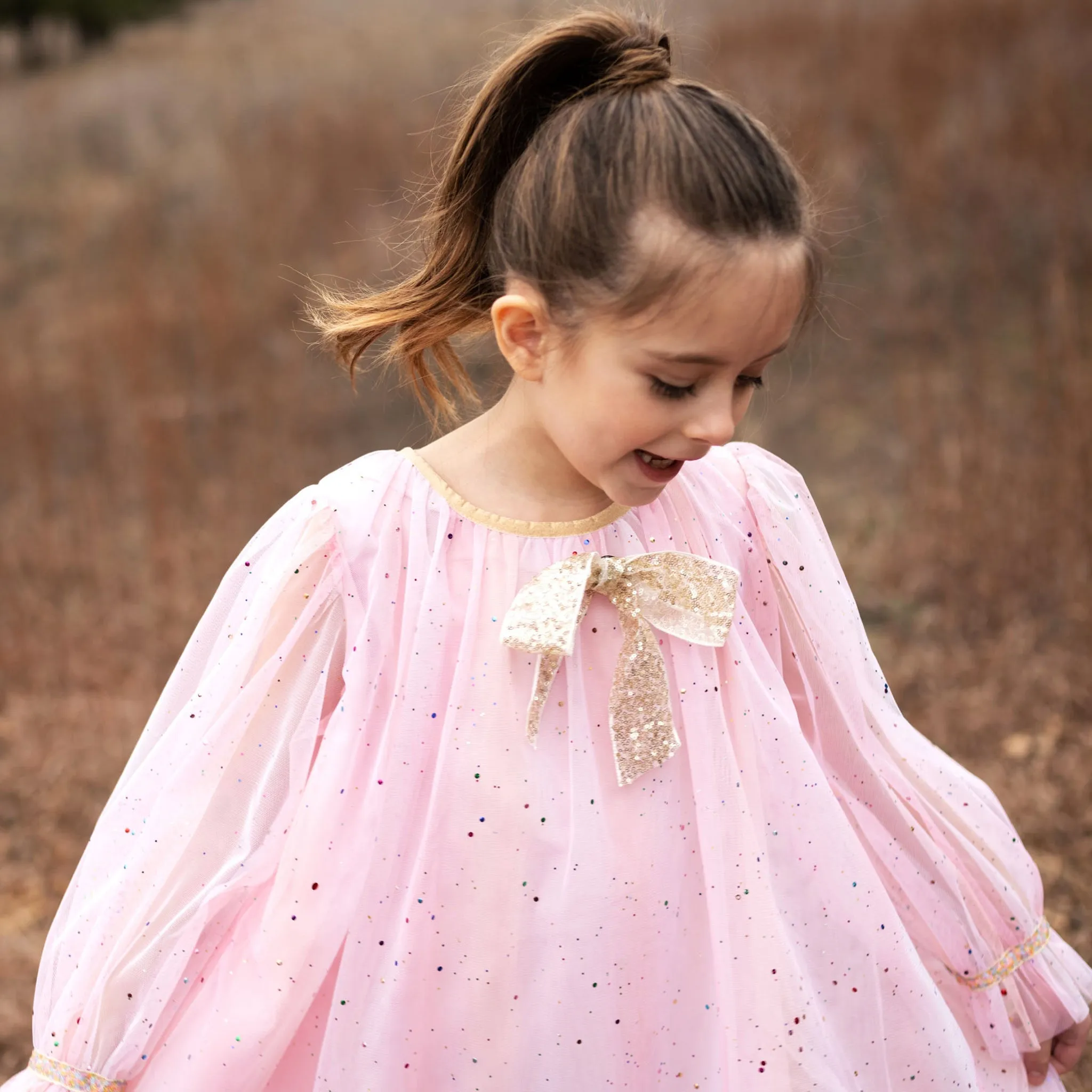 Jewel Dress
