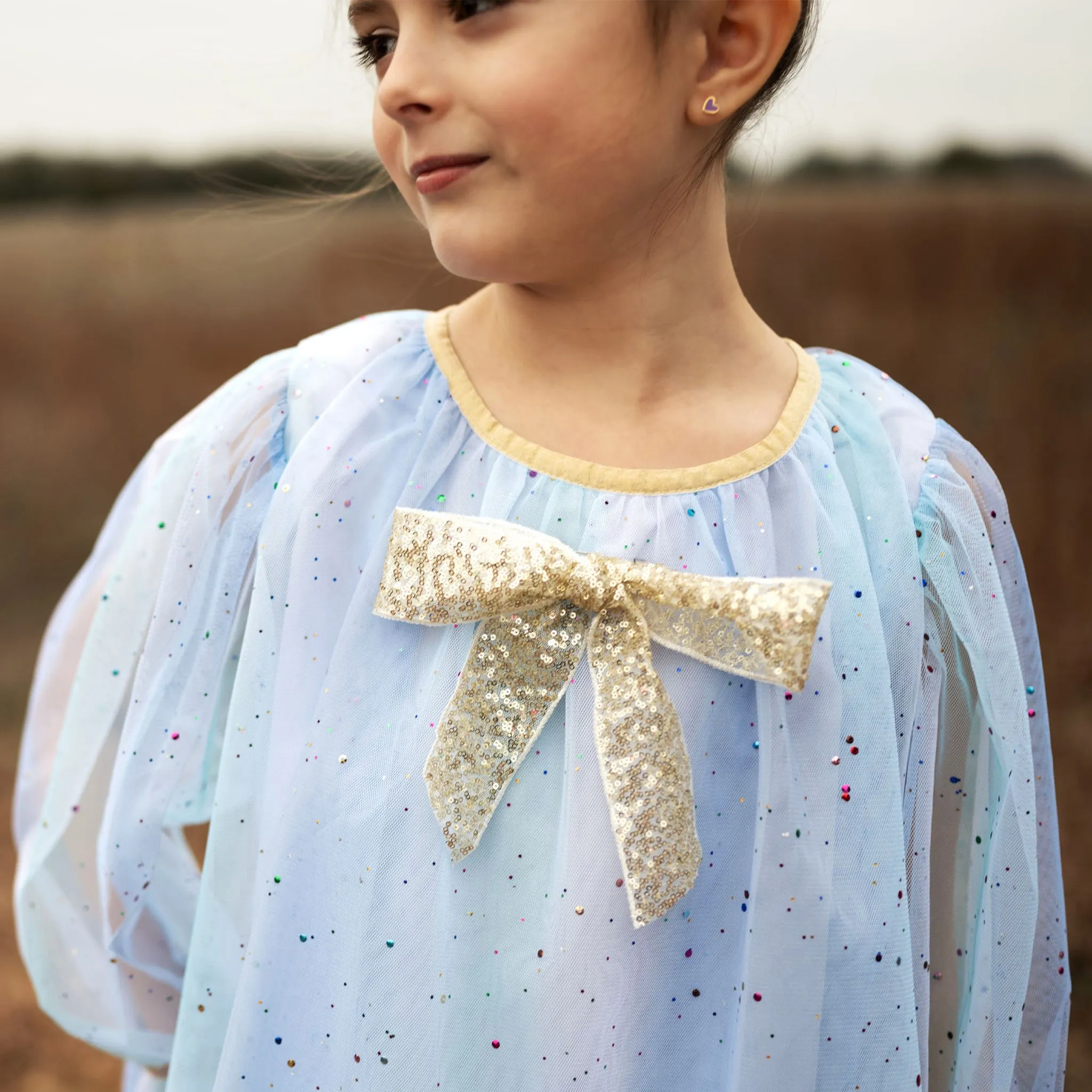 Jewel Dress