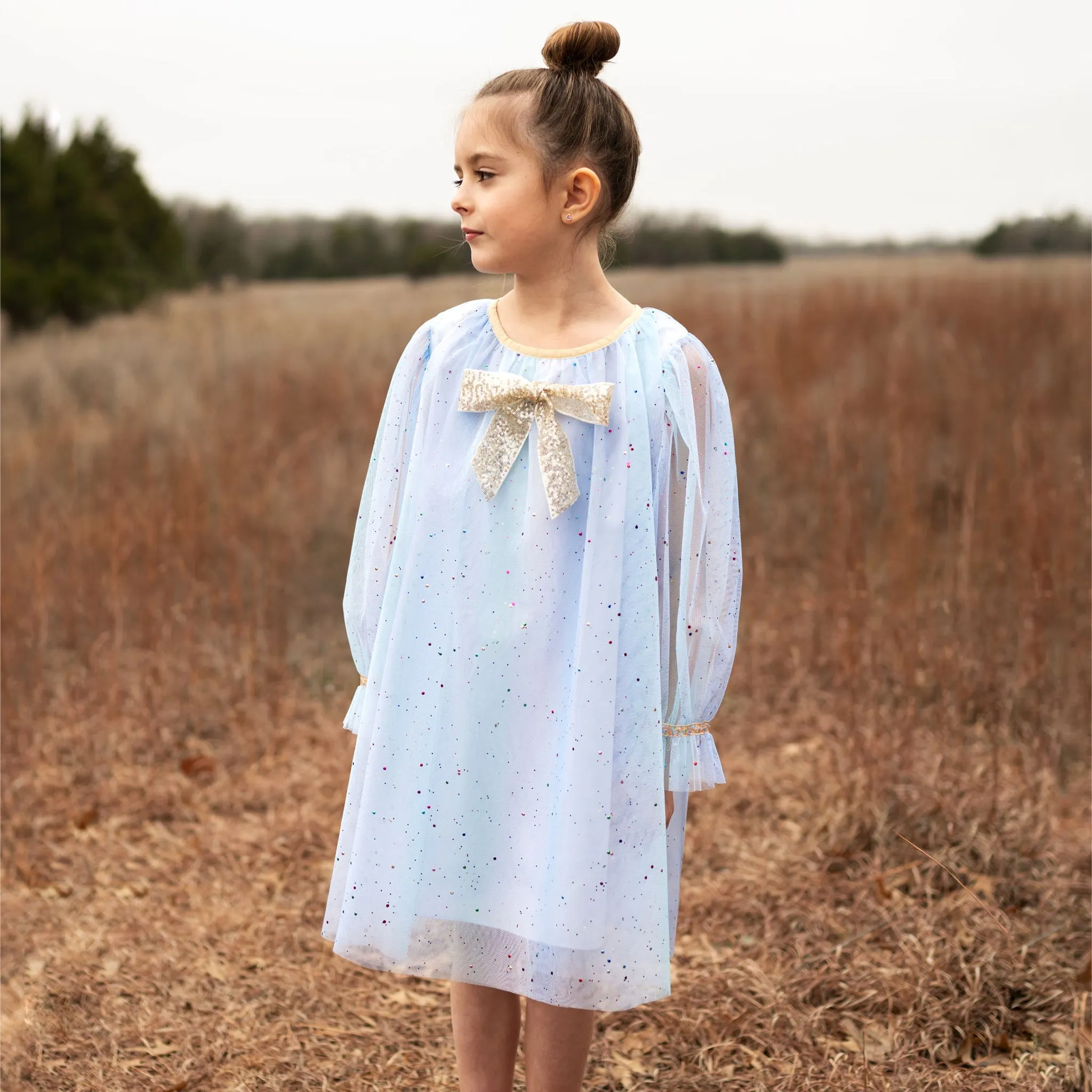 Jewel Dress