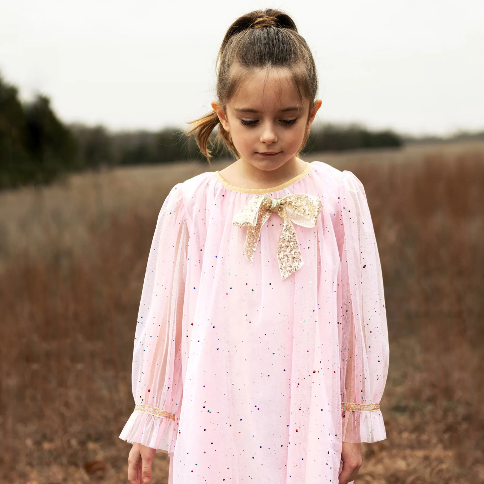 Jewel Dress