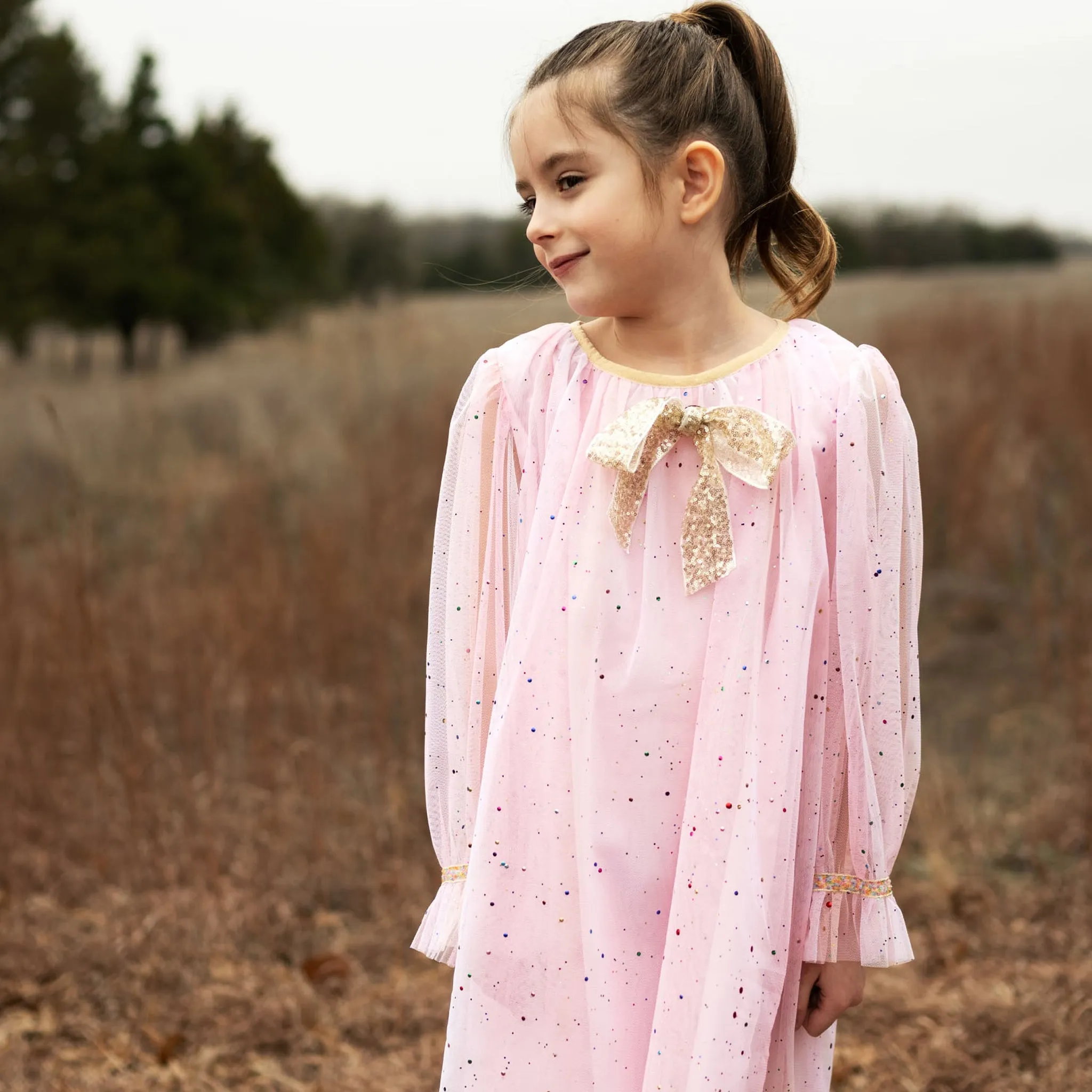 Jewel Dress